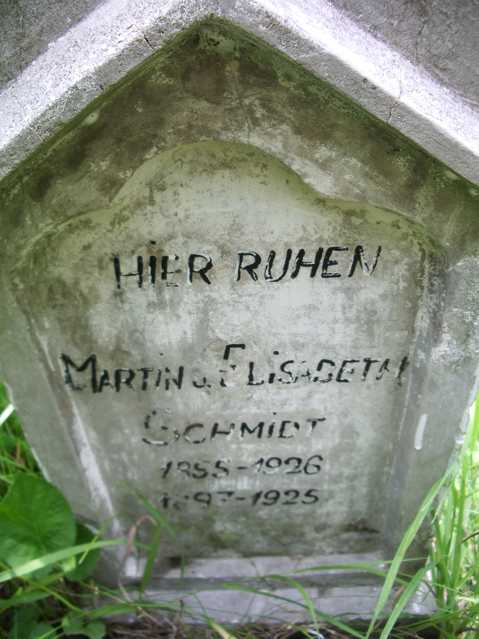 IMGP3187